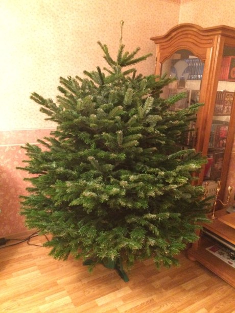 Новогодняя елка на садовор.орг