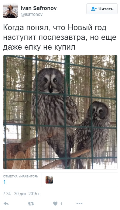 30 47 Садовод Новый Год 30 47 Садовод Новый Год