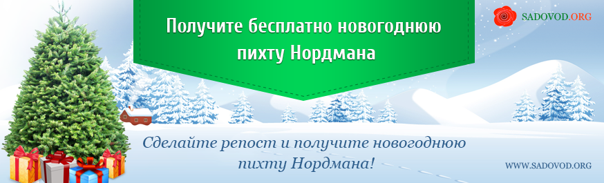 ��������� ���������� ����� ��������! (����� ��������� 28.12.2014�.)