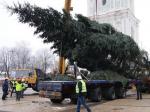 "Установка новогоднего дерева. Фото" в интернет магазине Садовод.орг