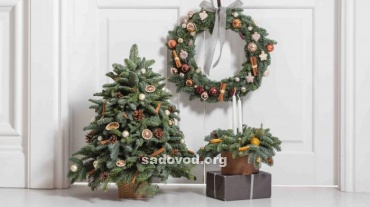 ����� �� ����� ������� �� ����� ���������